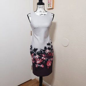 Beautiful Gray Sheath Dress with Roses by Calvin Klein Size 2P